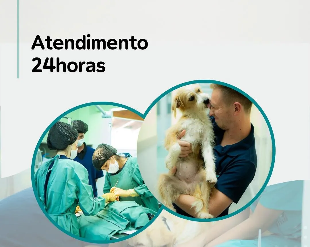 Imagem para Atendimento 24h